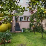 Secret Garden House