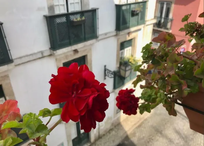 In The Heart Of Lisbon