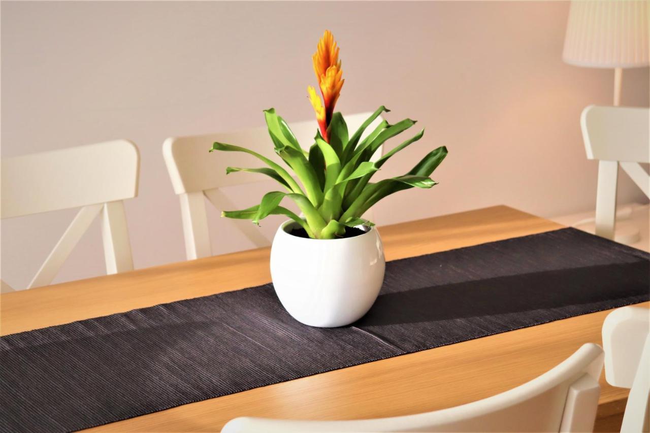 Apartamento Deluxe *