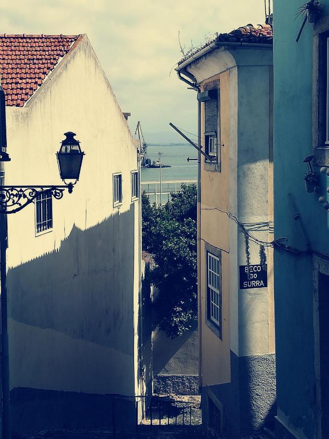 Sardinha Boémia - Remédios Apartamento Lisboa