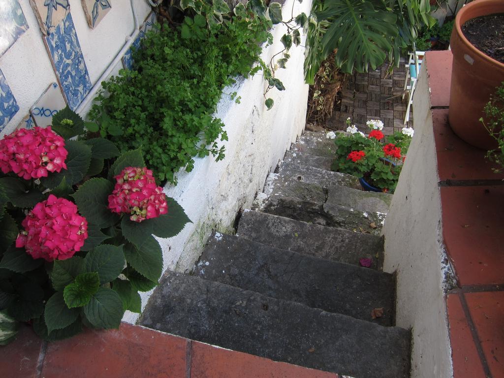 Oliveirinha Lisboa