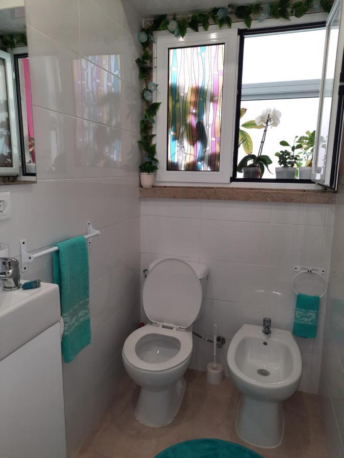 Homestay Ameli