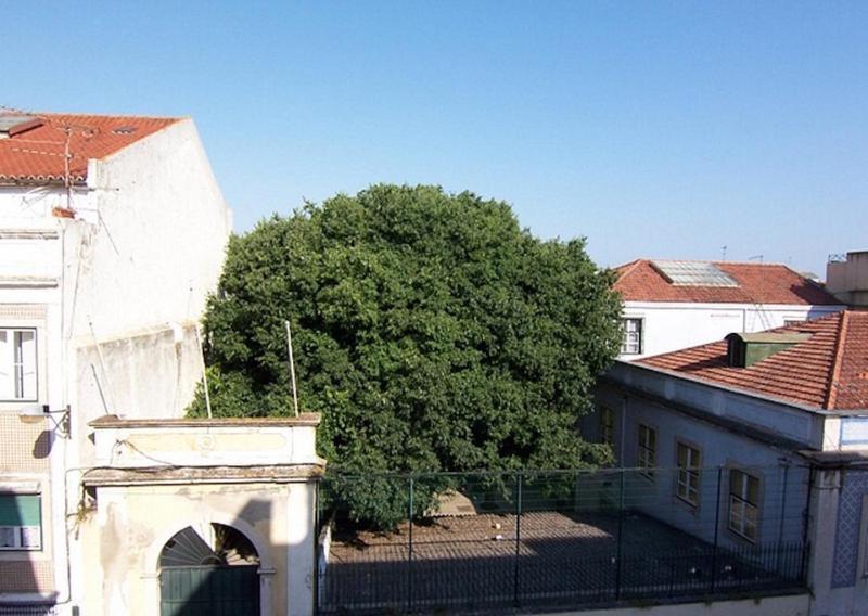 Apartamento Bela Vista - Lissabon Altstadt