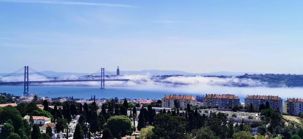 Apartamento Belvedere Tm Flat With A Magnificent View *