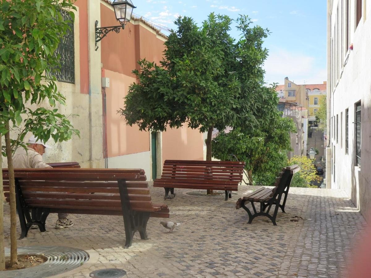 Apartment 3 Bedroom Apt, Historical Center, Tagus River View