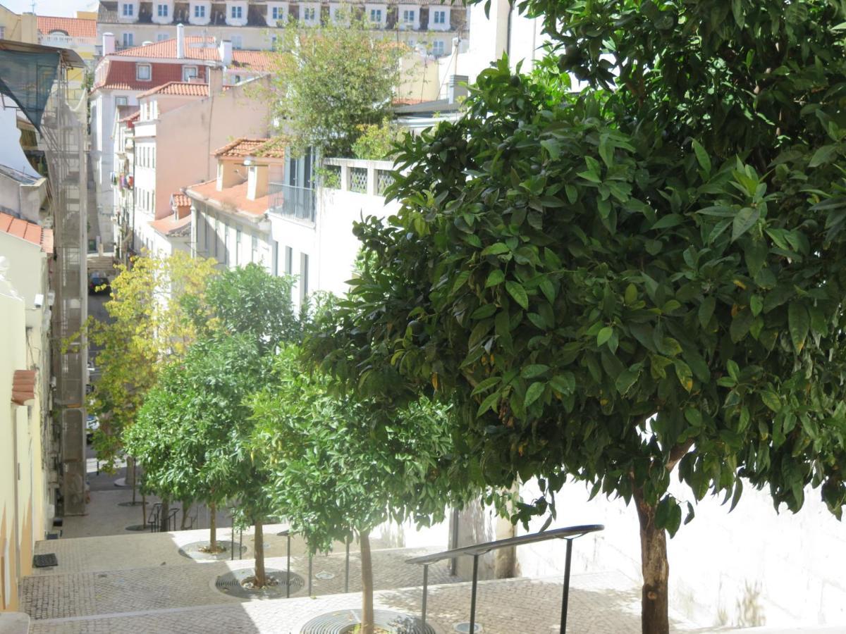 Apartment 3 Bedroom Apt, Historical Center, Tagus River View