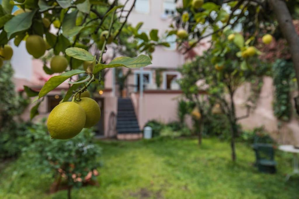 Secret Garden House Apartamento *