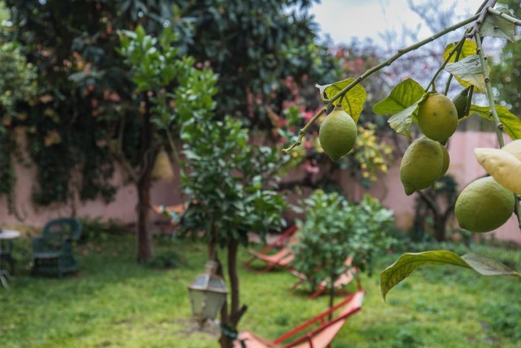 Apartamento Secret Garden House Lisboa