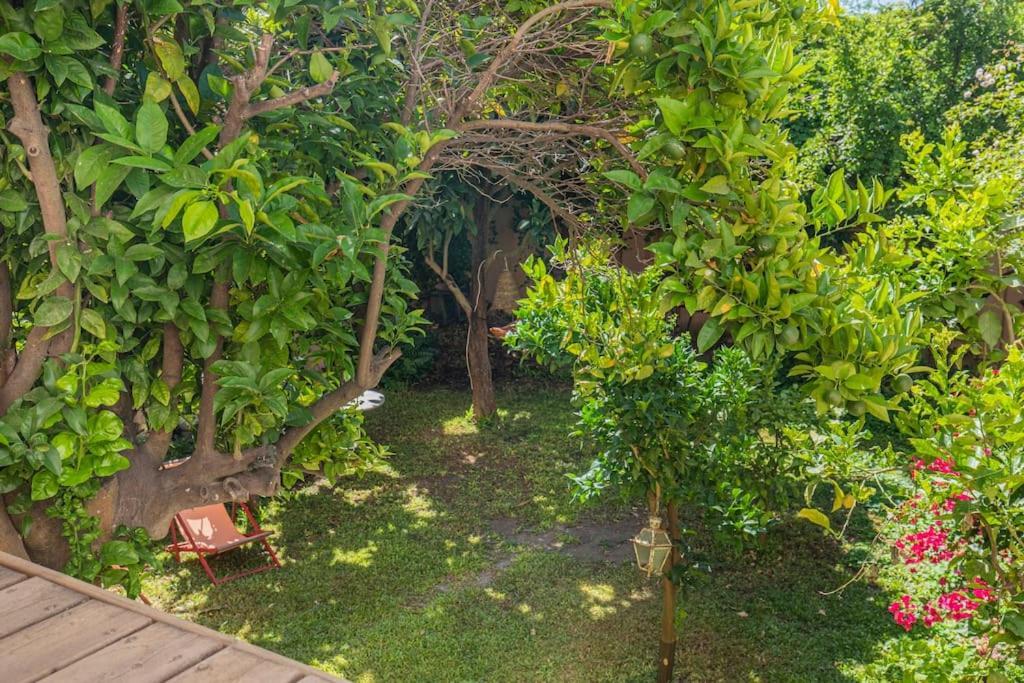 Apartamento Secret Garden House Lisboa