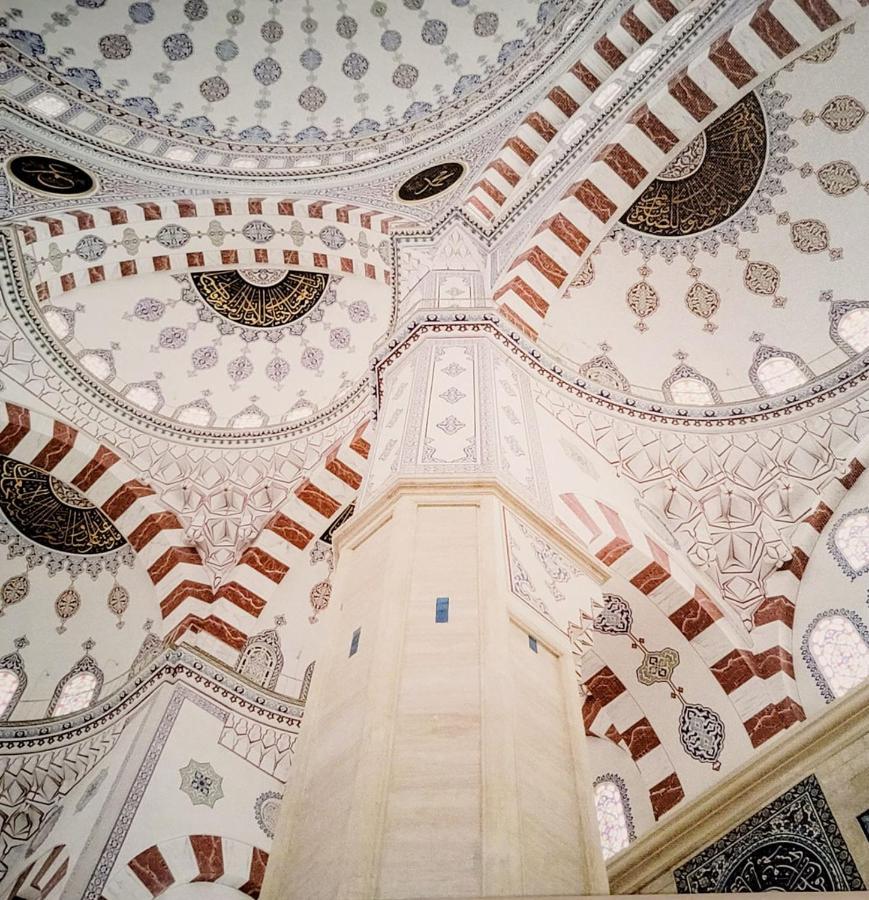 Gambori * Lisboa