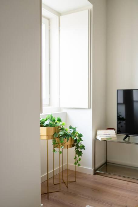Pardal 1a - Boutique 2 Bed Apartamento