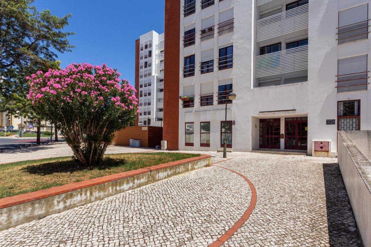Joivy Sunny In Marvila * Lisbon