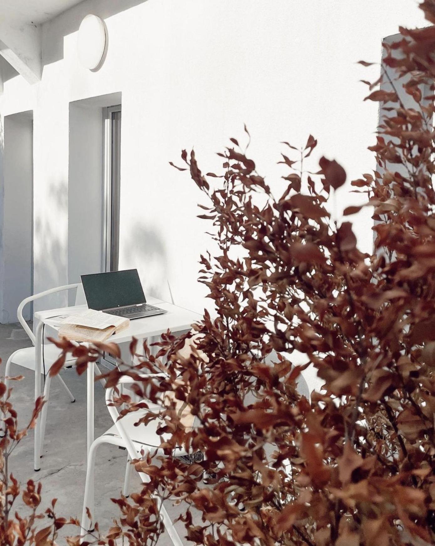 Apartment Cozy Graca Lisbon