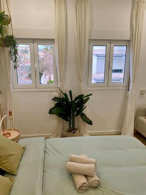 Apartamento Apartamento Familiar Em Belem *