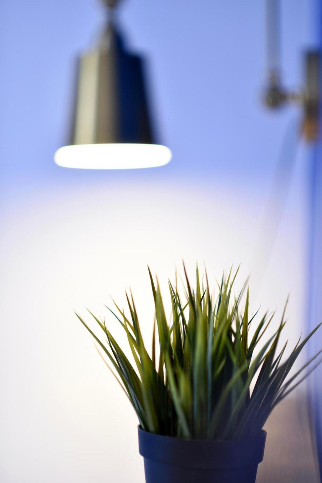 Albergue Draft & Lisboa