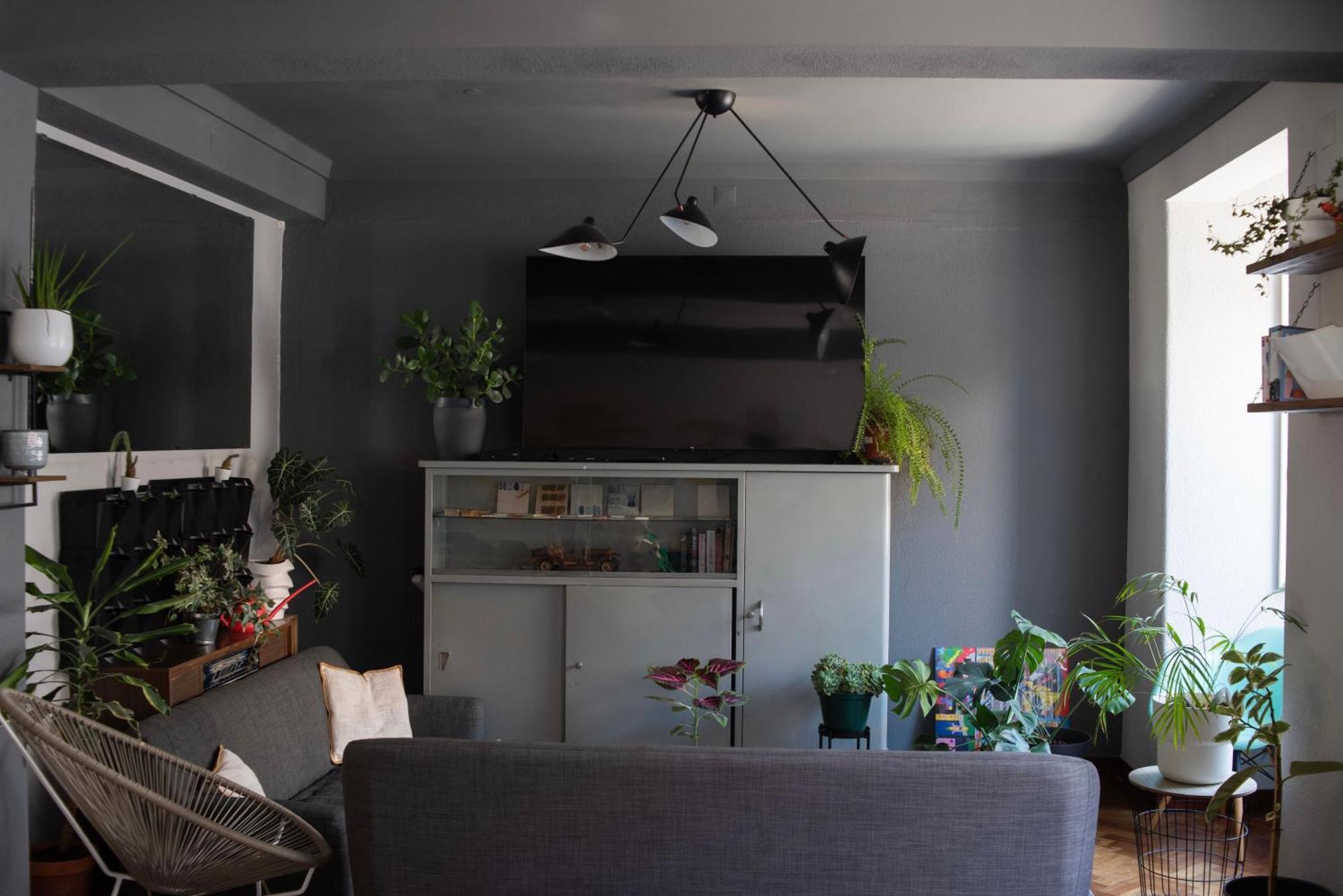 Albergue Draft & Lisboa