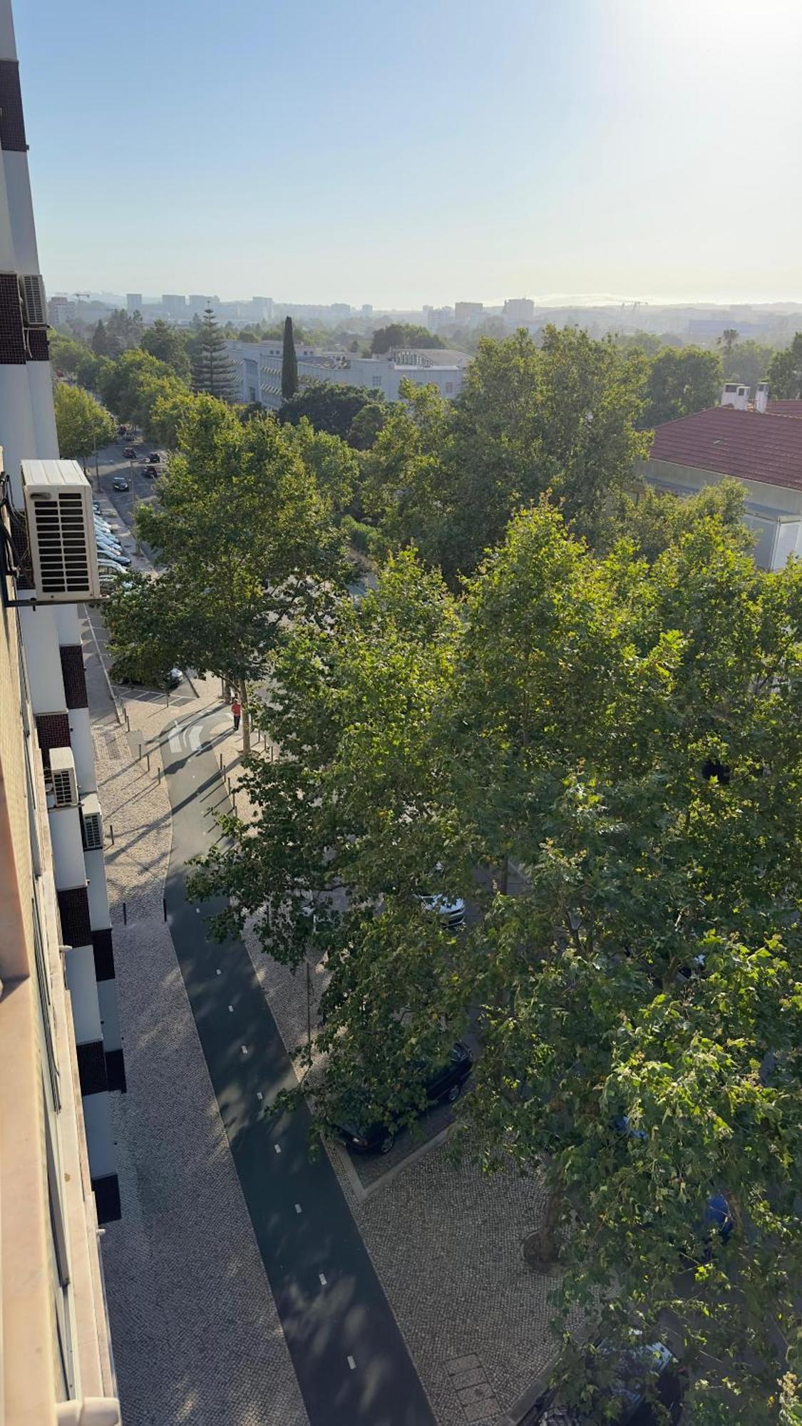 Alvalade Lisboa