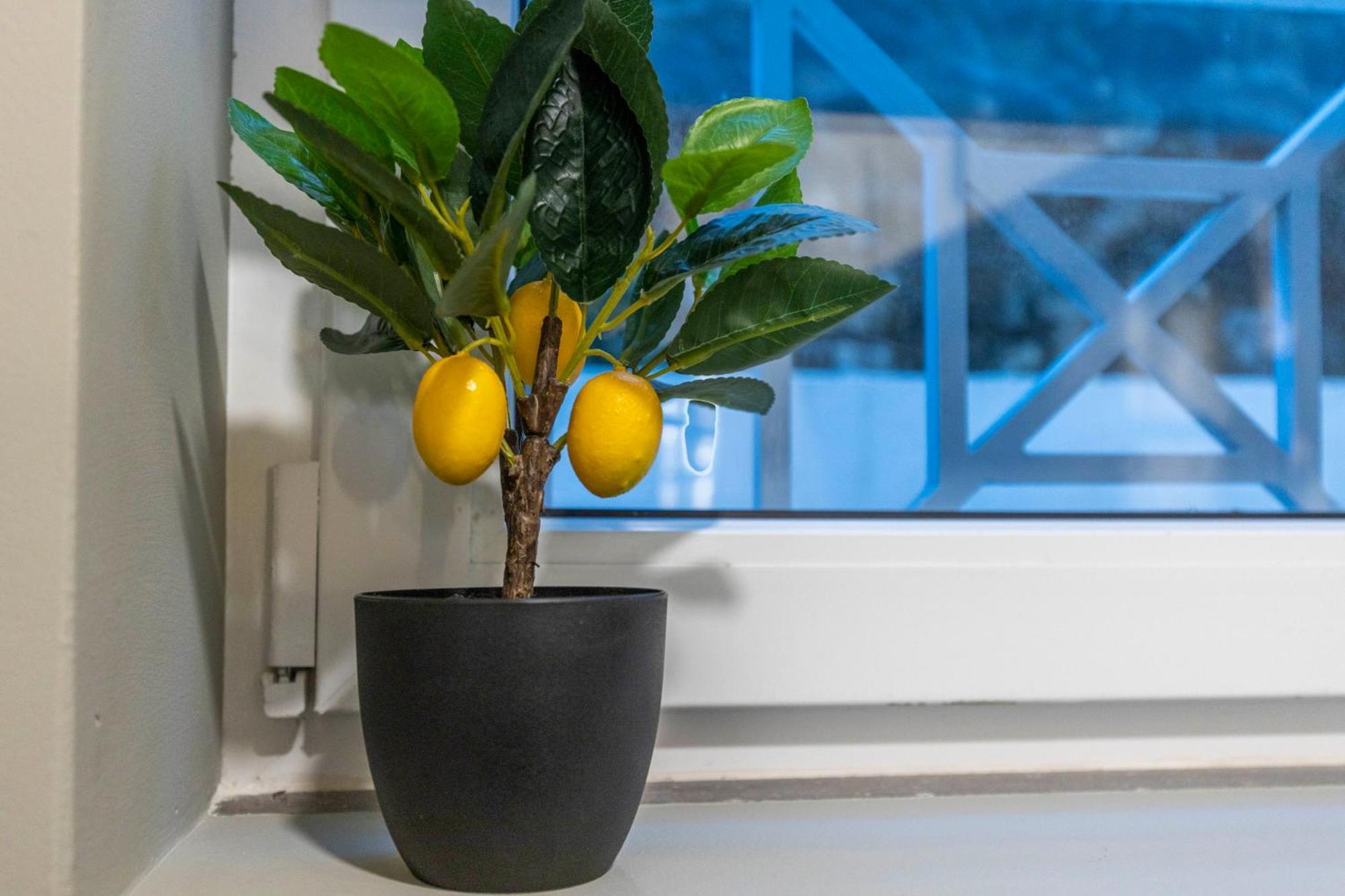 Silva Apartamento Lisboa