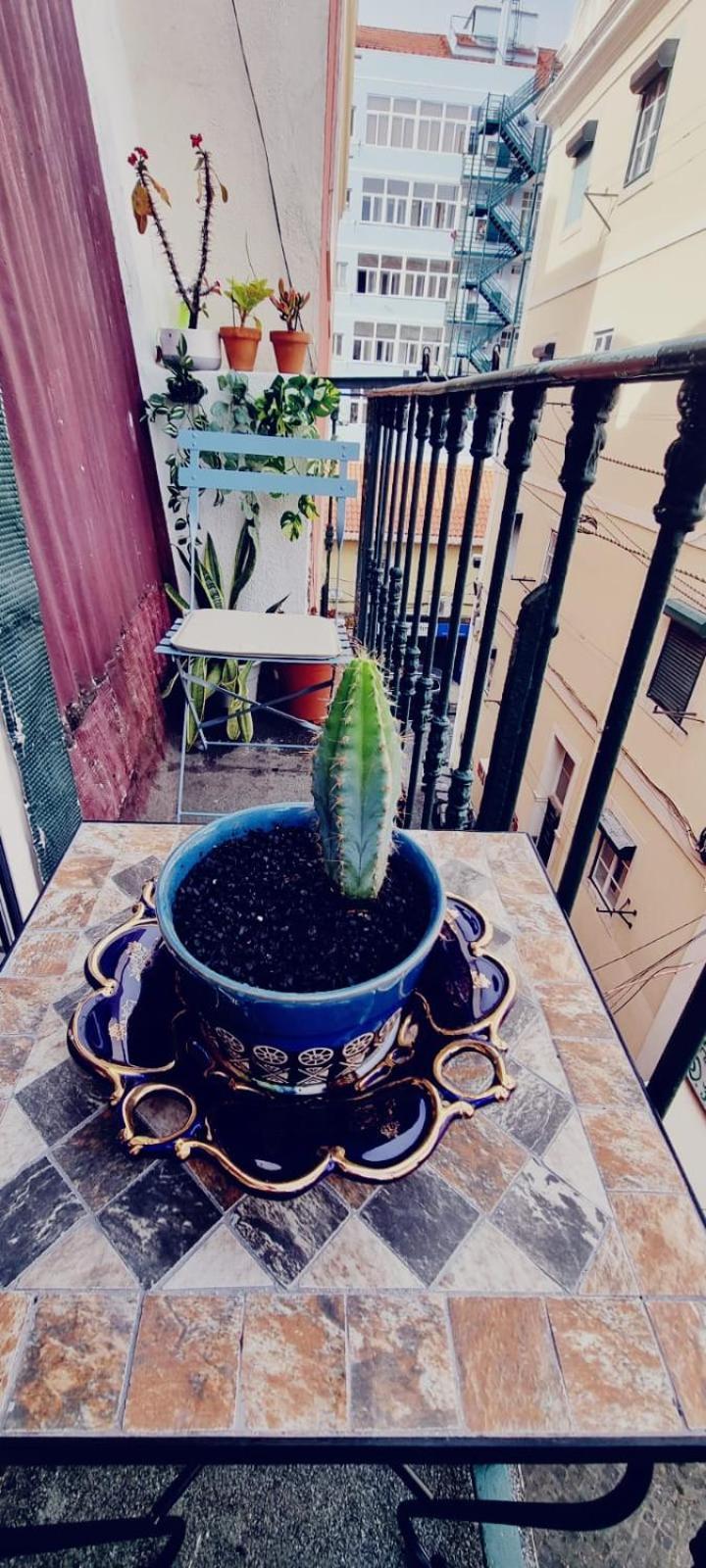 Charming To Rent * Lisboa