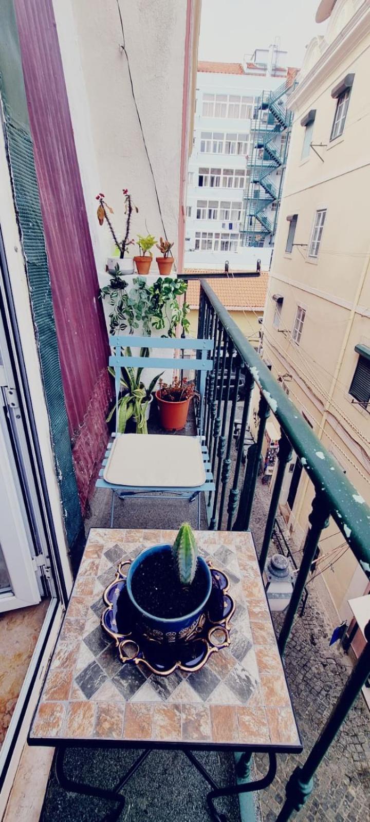 Charming To Rent Apartamento
