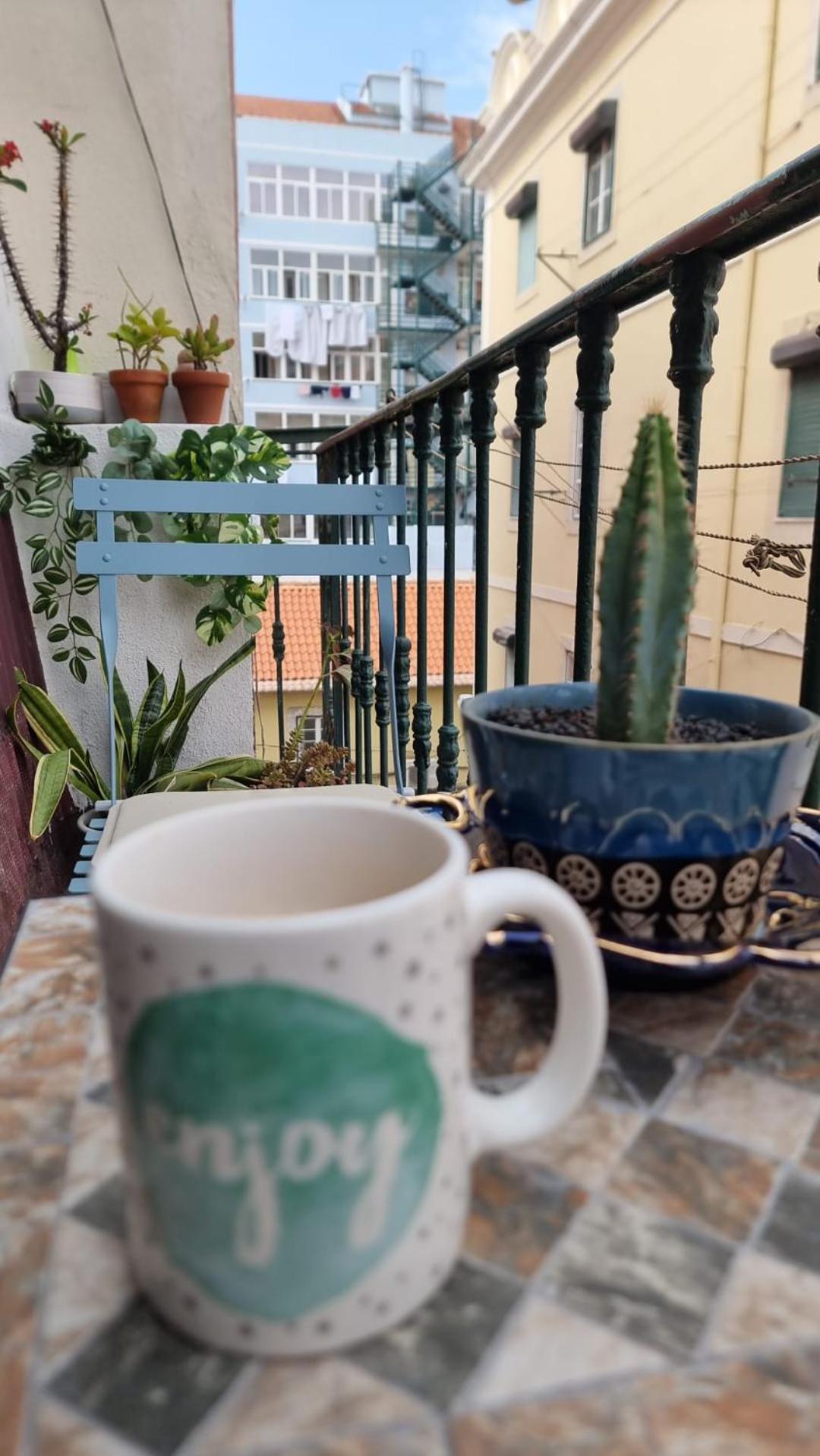 Charming To Rent Apartamento *
