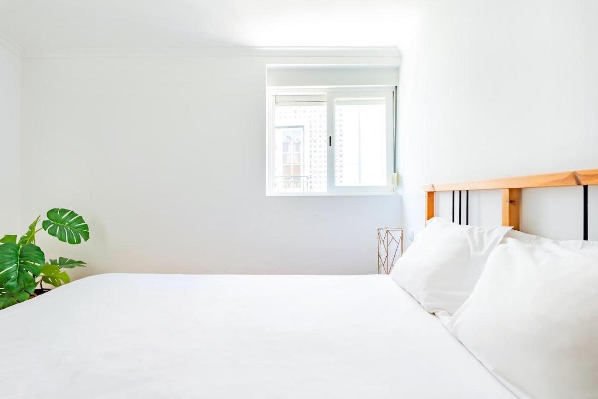 Apartamento Sao Jose 2br At Center *