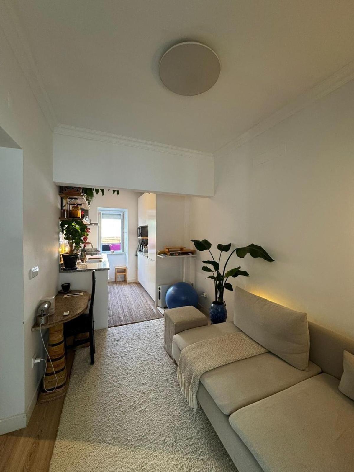 Cosy Campo De Ourique Apartamento