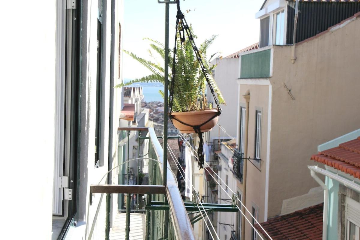 Apartamento Martim Vaz Ii - Downtown Lisboa