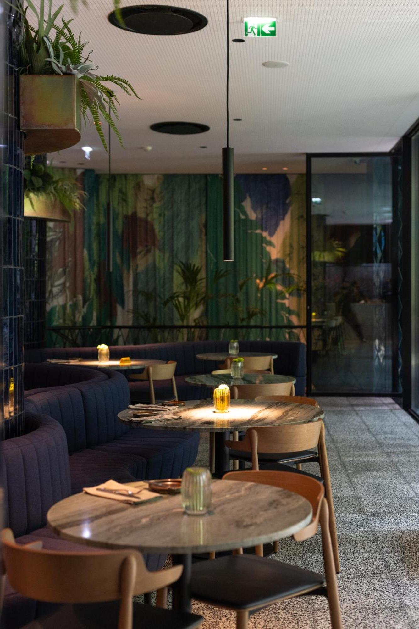 - Member Of Design Lisboa
