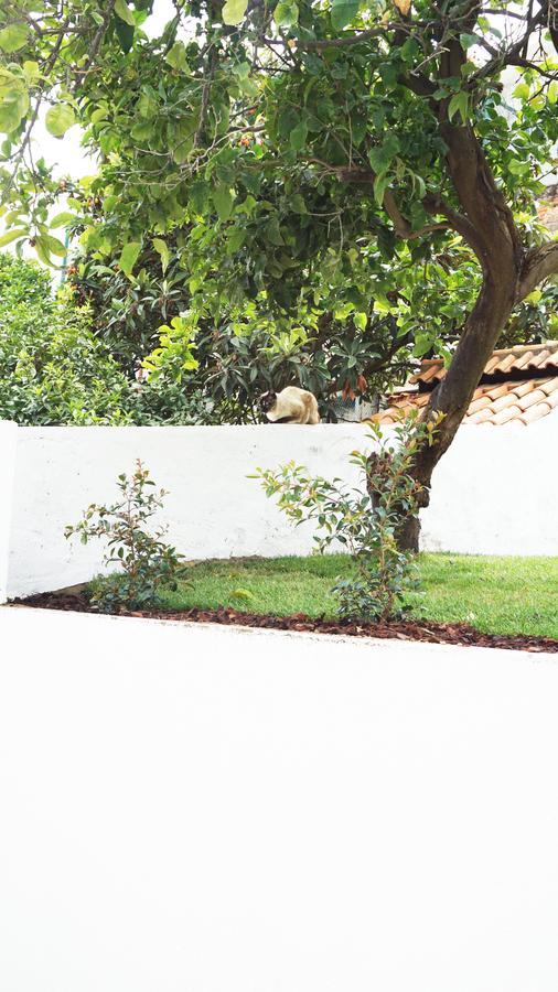 Apartamento Cozy Graça *