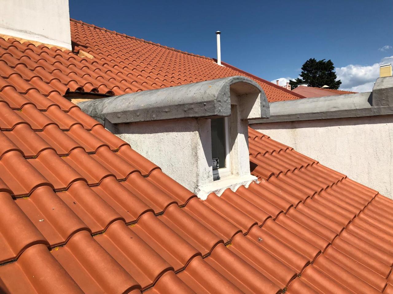 Guest house Botanic Views Lisbon