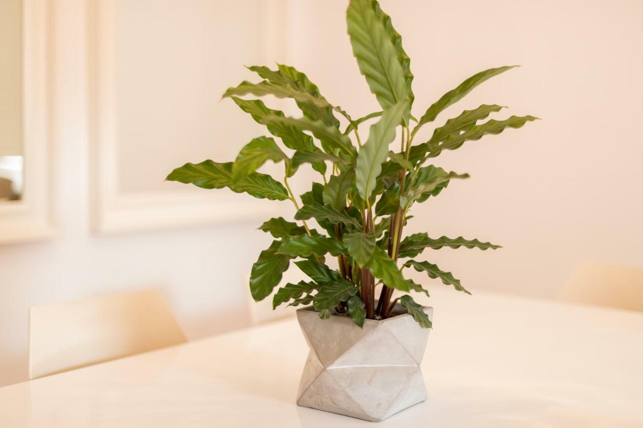 Alfama Modern Two-bedroom W/ River View And Parking - By Lu Holidays Apartamento *