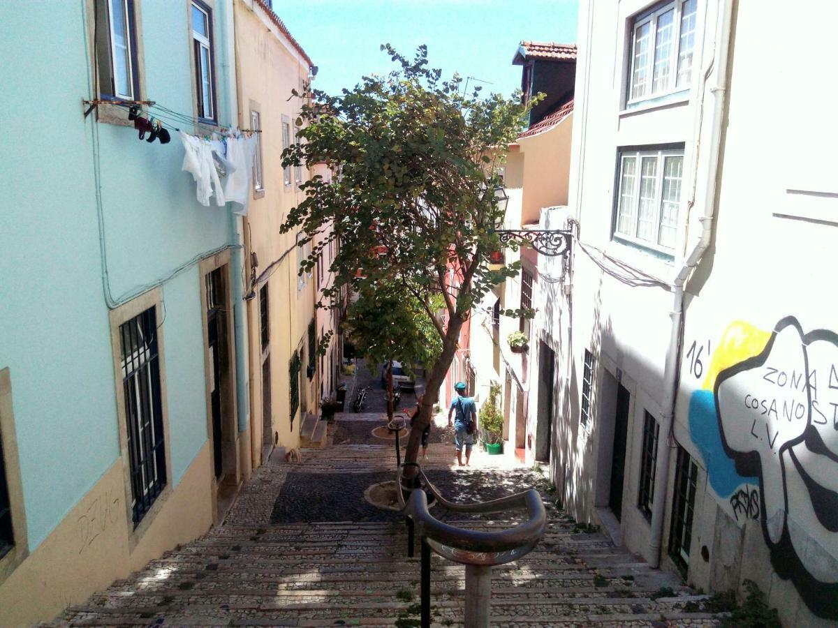 Comfy @ Chiado *