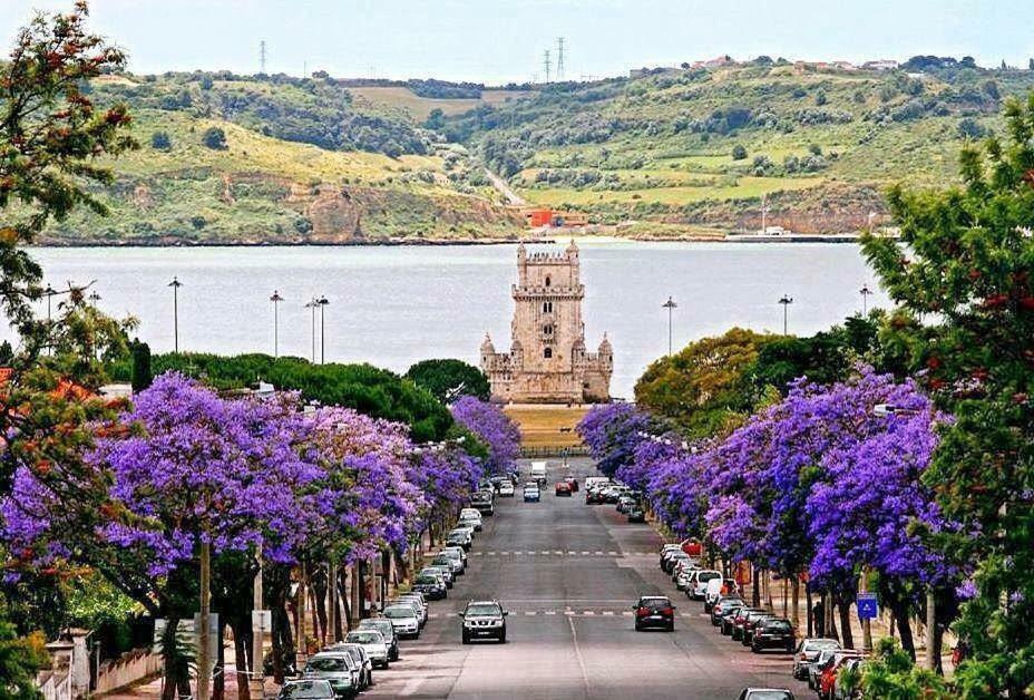 Alfacinha Ajuda Apartamento