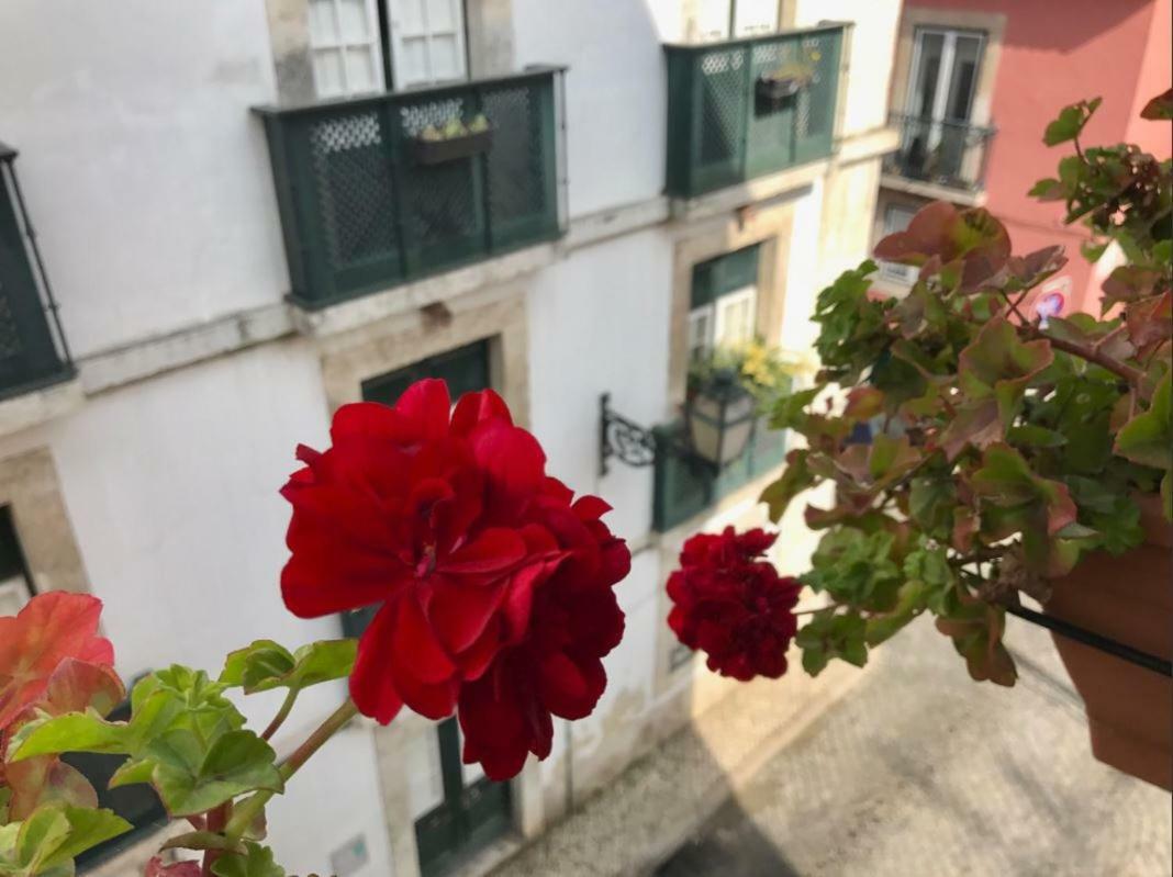 In The Heart Of