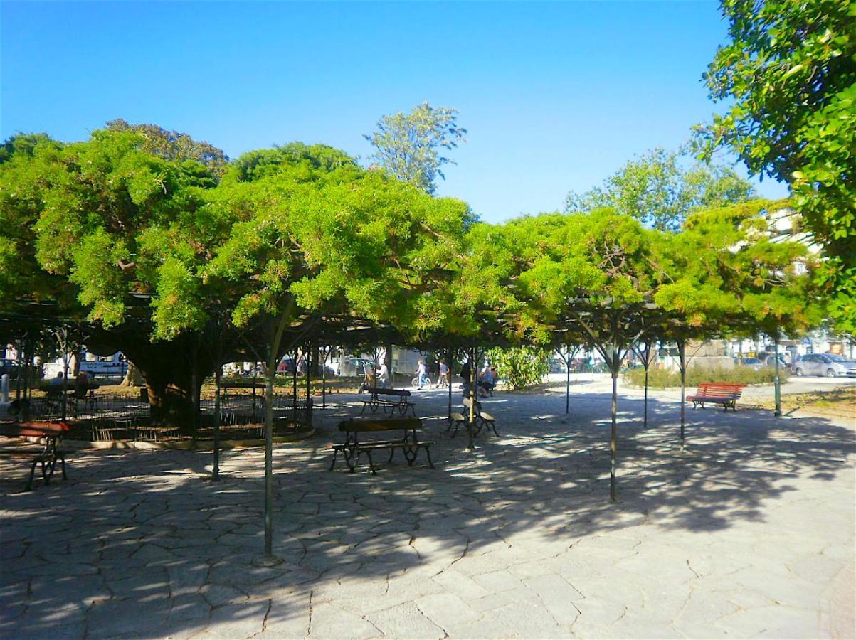 Apartamento Principe Real, Hidden Terrace, Views By Courtesy Morning *