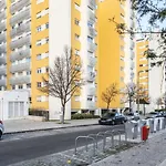 Akicity Penha Ebony