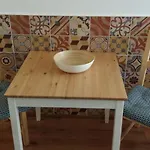 Downtown Apartment Santa Catarina