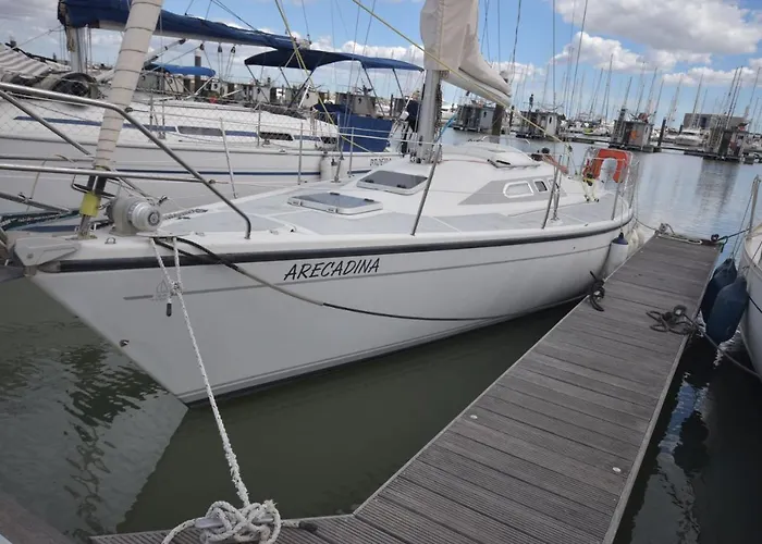 Arecadina