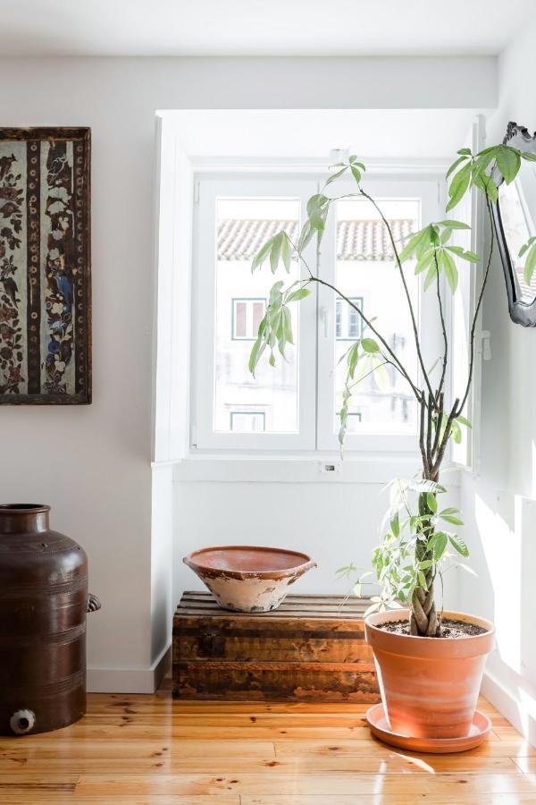Alfama Terrace River And Historic View Spacious And Charming Ground Floor 18th Century Building *