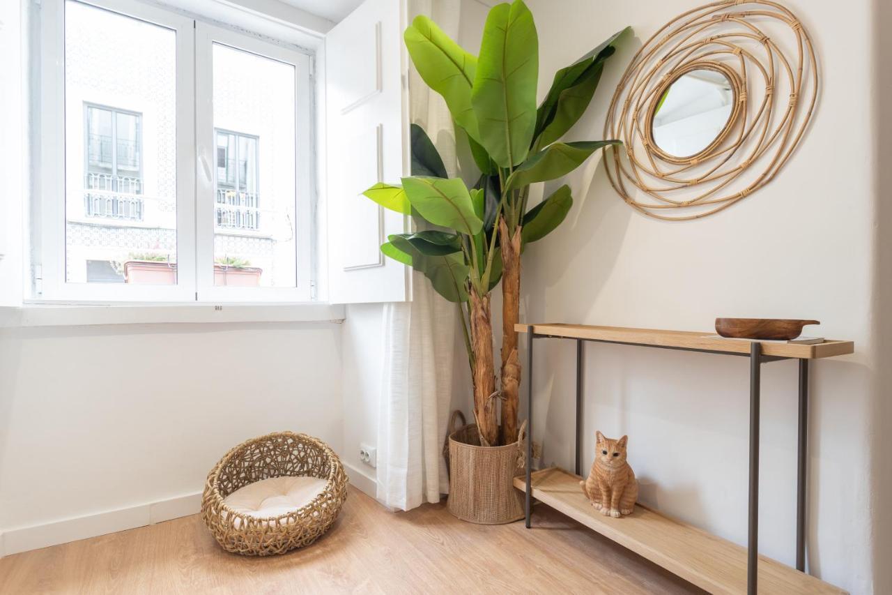 Sao Bento Cozy - By Lu Holidays *