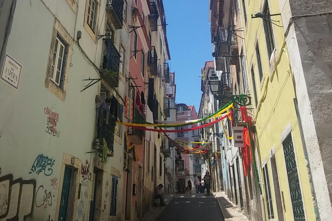 Amazing Camoes - Chiado, Lisboa