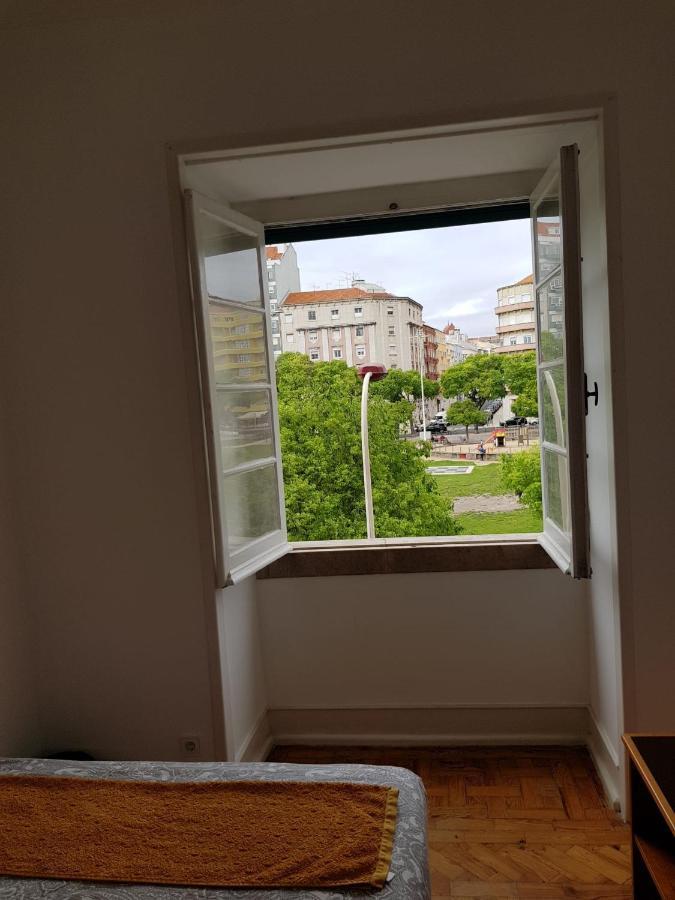 Rose View *