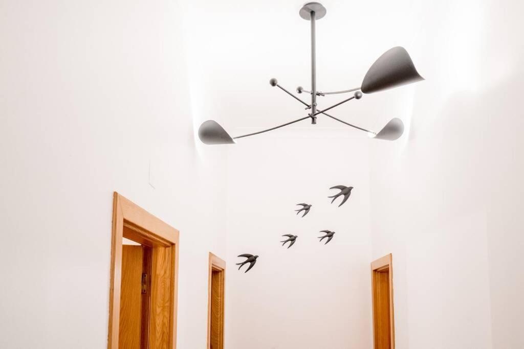 Beautiful Near The Center Of Apartamento