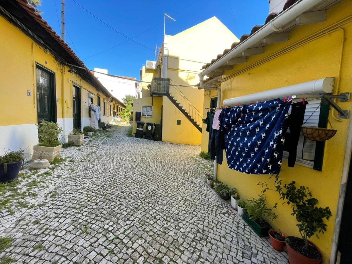 Apartamento The Star Of Olival Retreat