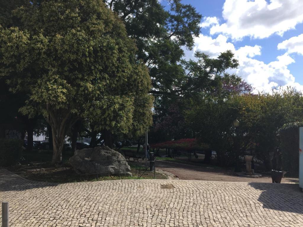 Apartamento Cozy Estrela Lisboa