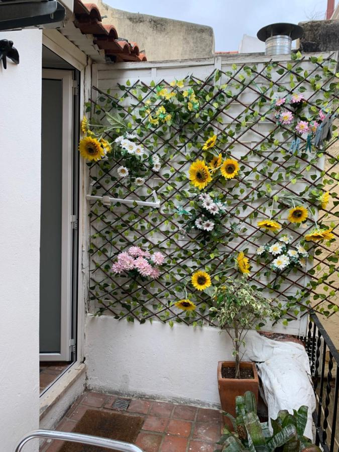 Apartamento Passport