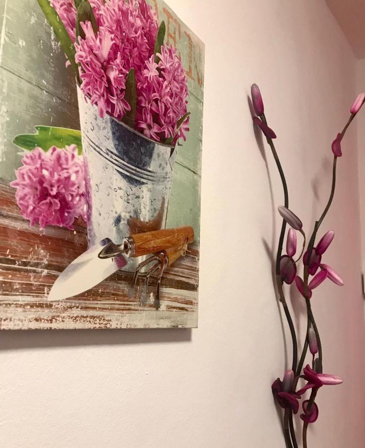 Casa Bonecas Apartamento
