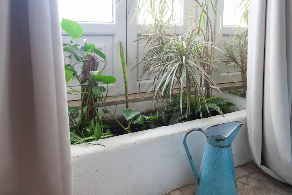 Apartamento A Boemia Street Studio *