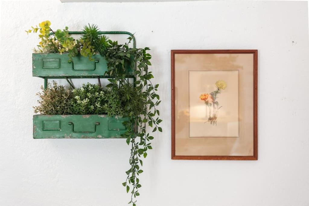 A Boemia Street Studio *